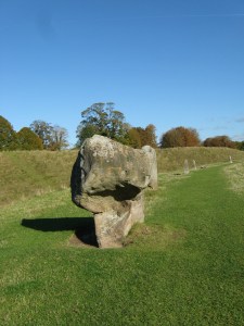 Snow day May 29 2010 070