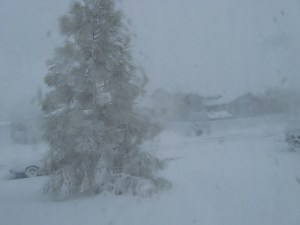 Snow day May 29 2010 301