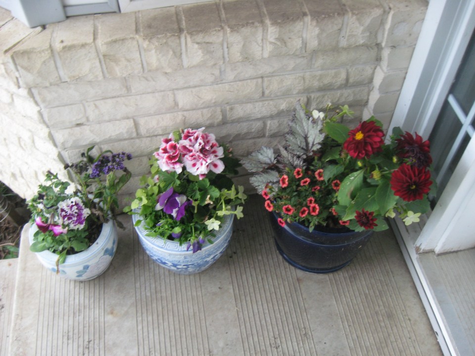 Flowers in the front.