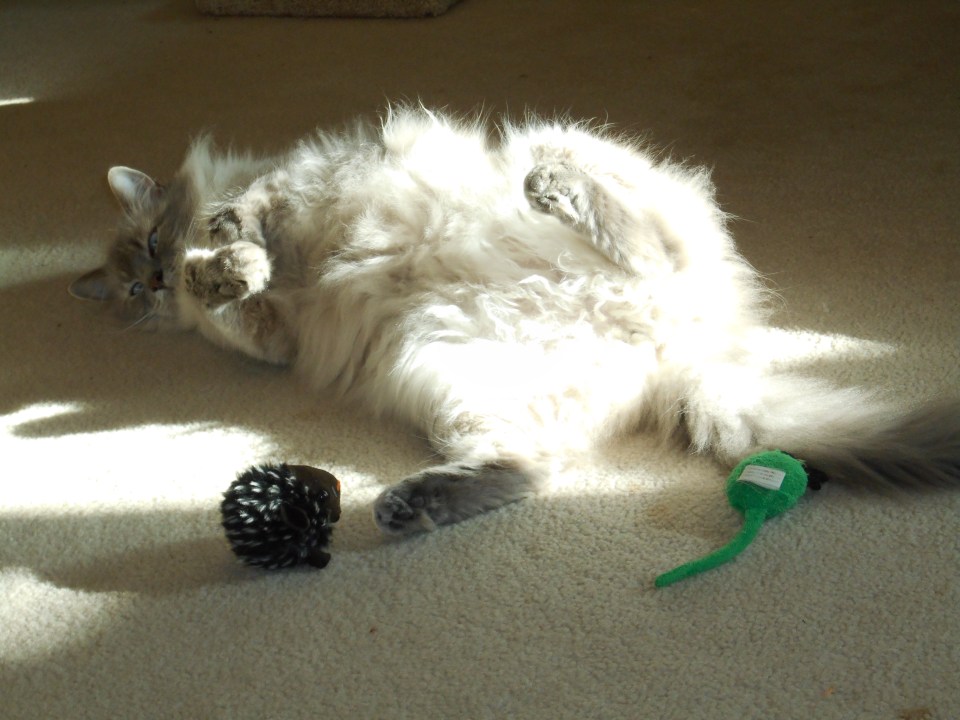 Are we relaxed enough?