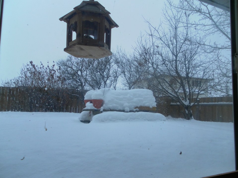 Oh Look, Snowing Again.