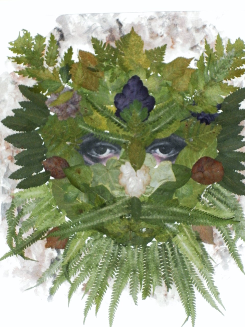 SAMSUNG DIGITAL CAMERA